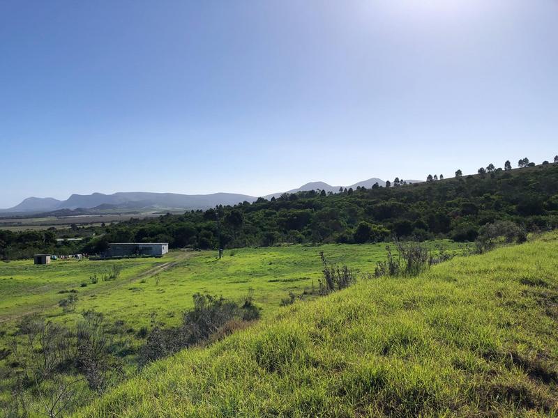 0 Bedroom Property for Sale in Baardskeerdersbos Western Cape